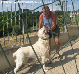 Buk in famiglia